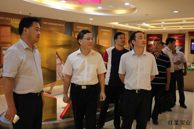 20150722省党代表李金冬走访调研红星商圈商会“两代表一委员”工作室