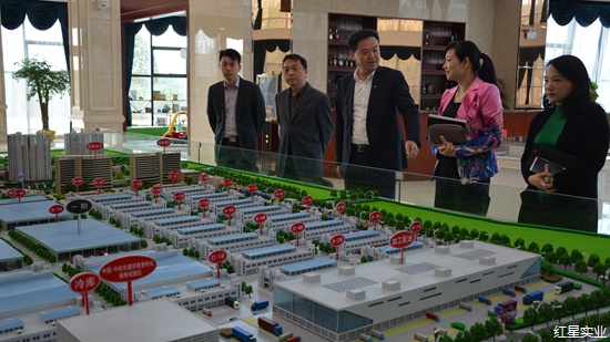邱继兴副市长现场调度红星全球农批中心项目