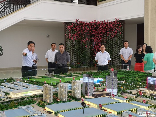20180724区政协主席冯聪龙一行视察红星全球农批中心2.jpg