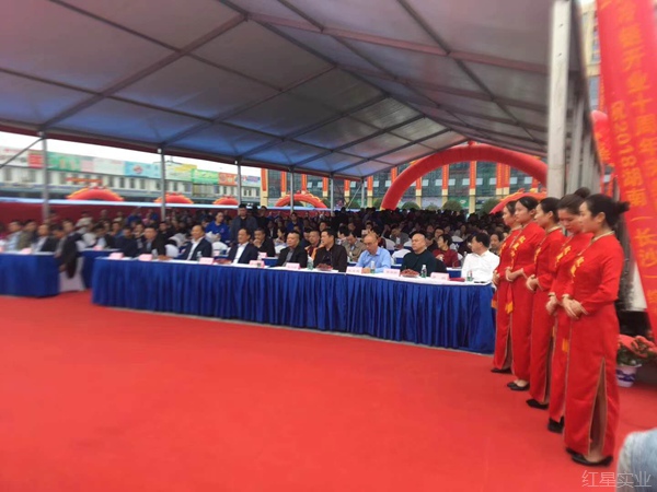 第三届湖南(长沙)红星冷冻产品博览会启幕1