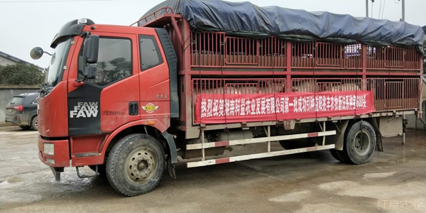 20190122益阳兆丰新法系种猪再签大单1.jpg