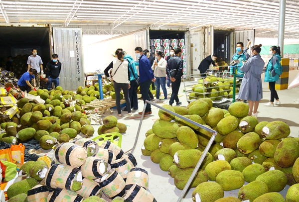 推行开柜交易新模式 助力凭祥口岸经济转型升级3.jpg