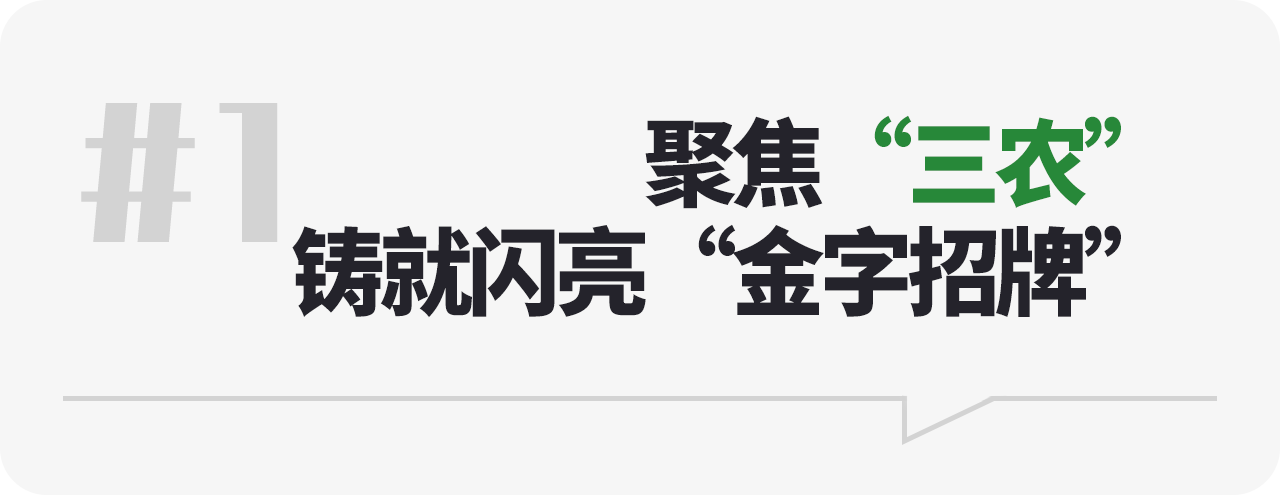 聚焦“三农” 铸就闪亮“金字招牌”