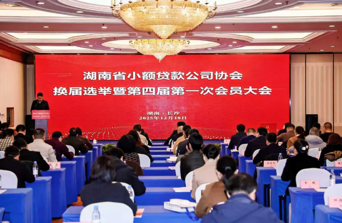 湖南省小额贷款公司协会第四届第一次会员大会胜利召开